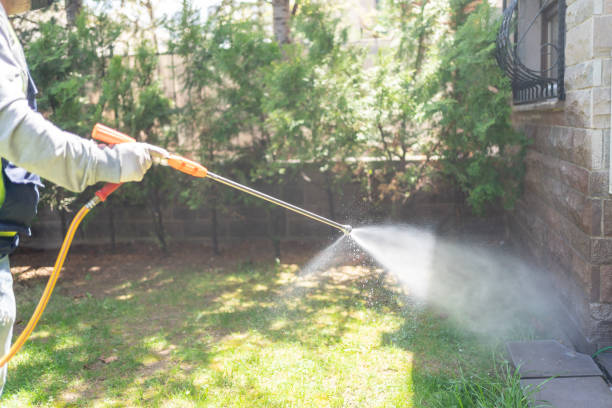 Best Emergency Pest Control  in Pleasant Valley, WV