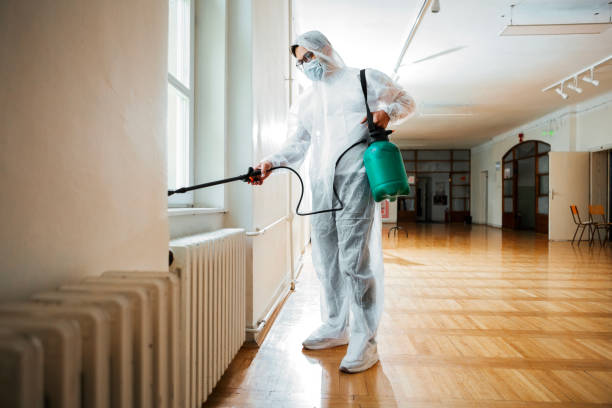 Best Mosquito Control Services  in Pleasant Valley, WV
