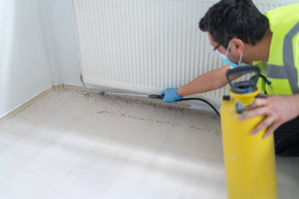 Best Pest Control for Homes  in Pleasant Valley, WV